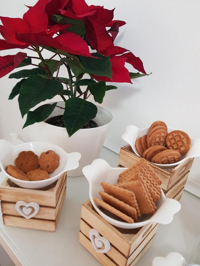 Rose Antiche Vatican B&B Rzym Zewnętrze zdjęcie